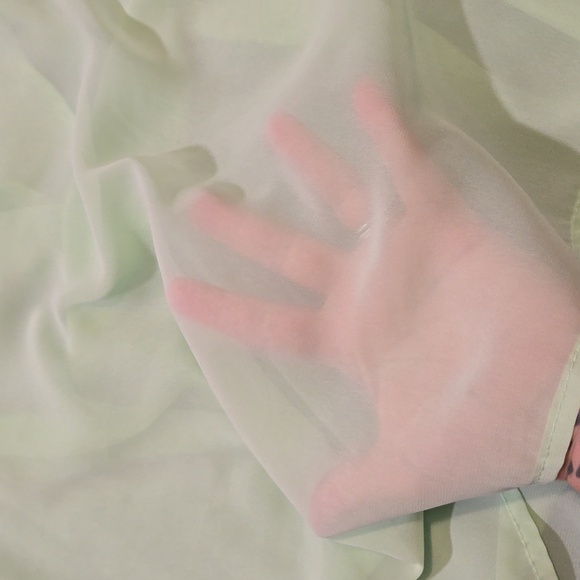 Sheer Green Top with Sequined Sleeves - Picture 3 of 6